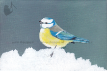 Brievenbuskunst schilderij Pimpelmeesje